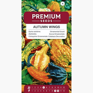 Zucca Ornamentale Autumn Wings - Festa autunnale per gli occhi, varietà di colori e forme!