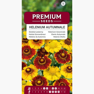 Elenio Autunnale - Ideale per posizioni soleggiate - Helenium autumnale