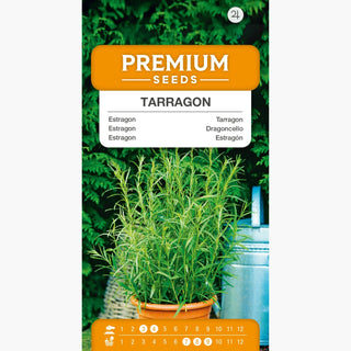 Dragoncello - Aroma intenso, facile da coltivare, eccellente spezia - Artemisia dracunculus