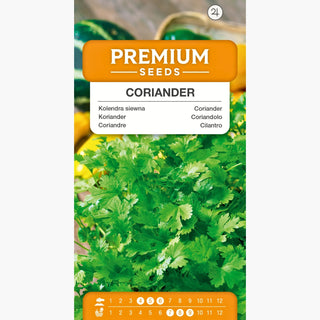 Coriandolo - Facile da coltivare, benefici per la salute, spezia indispensabile - Coriandrum sativum