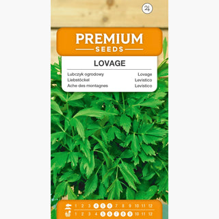 Levistico - Afrodisiaco aromatico per zuppe e salse - Levisticum officinale