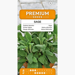Salvia officinale - Decorazione da giardino e rimedio casalingo in uno! - Salvia officinalis