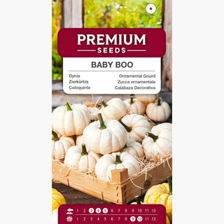 Zucca ornamentale Baby Boo - Frutti cremosi e in miniatura, rampicante o strisciante, decorativi e commestibili