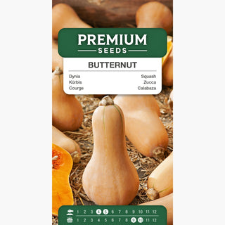 Zucca Butternut - Eccezionalmente gustosa e salutare - Cucurbita moschata