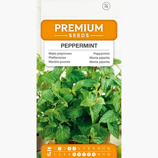 Menta piperita - Ideale per bevande e dessert - Mentha piperita