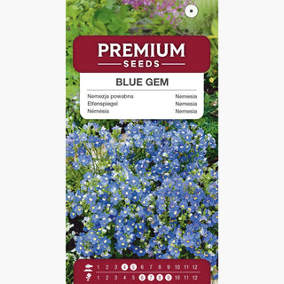 Nemesia - Blue Gem - Adatta per vasi e aiuole - Nemesia strumosa