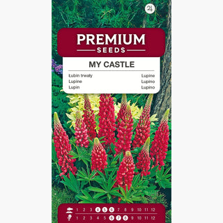 Lupino My Castle - Fiori rossi in spighe imponenti, ideale per bordure - Lupinus polyphyllus