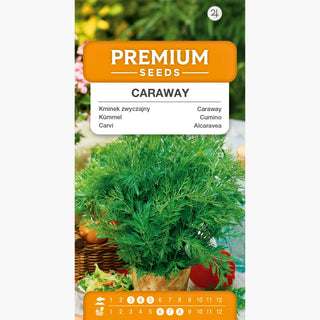Cumino - Resistenza naturale al 100%, spezia indispensabile in cucina - Carum carvi