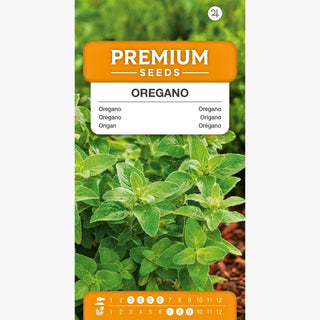 Origano Comune - Fragranza intensa, gusto senza pari - Origanum vulgare