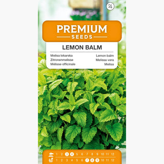 Melissa vera - Aromatica, calmante e abbassa la pressione sanguigna - Melissa officinalis
