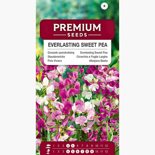 Cicerchia a Foglie Larghe - Piselli da cucina e da aiuola - Lathyrus latifolius