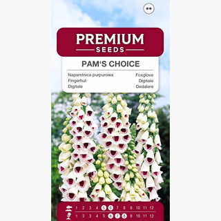 Digitale - Pam's Choice - Perla naturalistica delle piante ornamentali - Digitalis purpurea