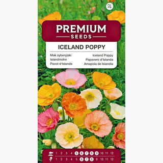 Papavero d'Islanda - Affascinante, multicolore e resistente - Papaver nudicaule