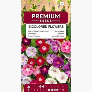 Ipomoea - Fiori Bicolori - Spettacolare e perfetta per recinzioni - Ipomoea tricolor