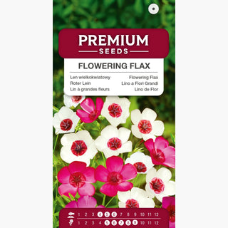 Lino a Fiori Grandi - Miscuglio - Fiori eleganti in molte tonalità - Linum grandiflorum