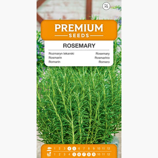 Rosmarino - Essenza verde di sapore e aroma - Rosmarinus officinalis