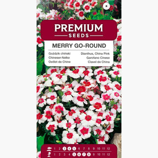 Garofano Cinese - Merry Go-Round - Miscela allegra per ogni aiuola - Dianthus chinensis