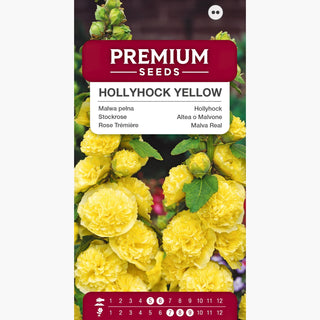 Altea o Malvone - Giallo - Fiori vistosi, eccellente per giardini rustici e fiori recisi - Alcea rosea