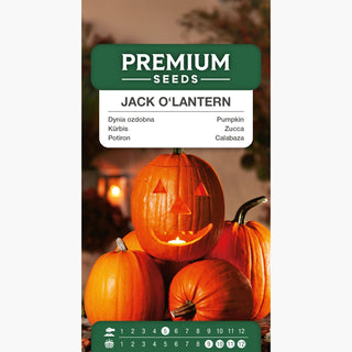 Zucca Jack O'Lantern - Ideale per lanterne e decorazioni, frutti fino a 10 kg