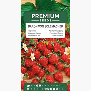 Fragola di Bosco - Baron von Solemacher - Frutti produttivi e gustosi, ideale per coltivazione amatoriale - Fragaria vesca