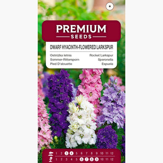 Speronella - Fiore di Giacinto - Nana Miscuglio - Compatta, colorata, ornamentale perenne - Delphinium ajacis
