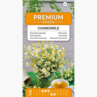 Camomilla - Rimedio naturale per disturbi dello stomaco - Matricaria chamomilla