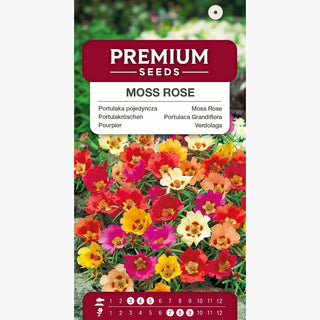 Portulaca Grandiflora Miscuglio - Fiori impressionanti: grandi fiori pieni con un diametro di 5 cm! - Portulaca grandiflora