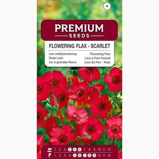 Lino a Fiori Grandi - Rosso - Decorazione leggera per il giardino - Linum grandiflorum