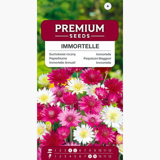 Perpetuini Maggiori Miscuglio - Fiori intensamente colorati ideali per bouquet secchi - Xeranthemum annuum