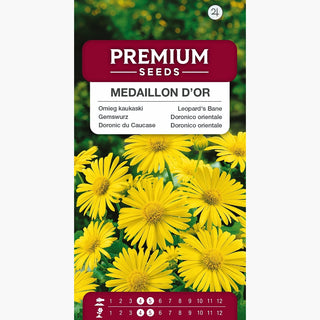 Doronico orientale - Medaillon d’Or - Fiori grandi giallo dorato all’inizio della primavera - Doronicum orientale
