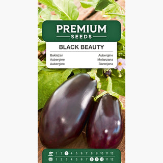 Melanzana Black Beauty - Raccolti abbondanti, facile da coltivare