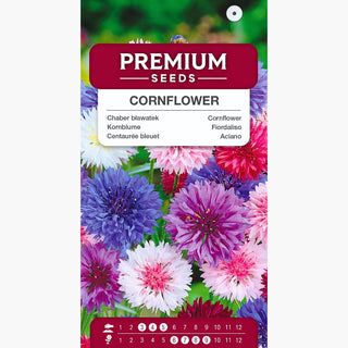 Fiordaliso - miscuglio - Facile da coltivare, perfetto per giardini selvatici e prati fioriti - Centaurea cyanus