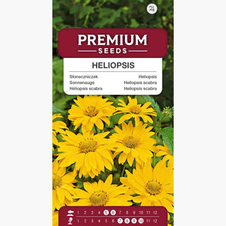 Heliopsis scabra - Fiori dorati dall’estate all’autunno - Heliopsis scabra