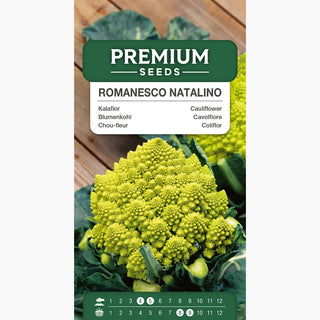 Cavolfiore Romanesco Natalino - Colore verde chiaro, sapore delicato e nocciolato - Brassica oleracea var. botrytis