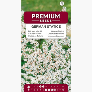Limonium tataricum - Perenne e perfetto per bouquet secchi - Limonium tataricum