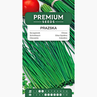 Erba Cipollina Prazska - Sapore e aroma eccellenti, alta produttività