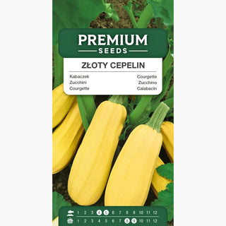 Zucchino Złoty Cepelin - Medio-precoce, molto produttivo, frutti fino a 2-4 kg