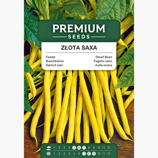 Fagiolo nano Golden Saxa - Gustoso, facile da coltivare, perfetto per le conserve