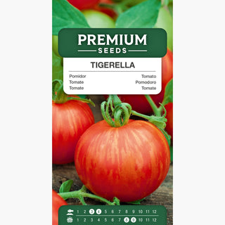 Pomodoro Tigerella - Frutti super aromatici, facile da coltivare, alta produttività
