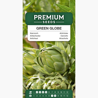 Carciofo Green Globe - Raccolti abbondanti, cuore gustoso e carnoso - Cynara scolymus