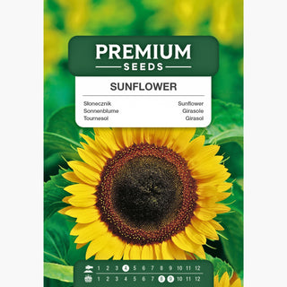 Girasole - Re degli snack e decorazione da giardino! - Helianthus annuus