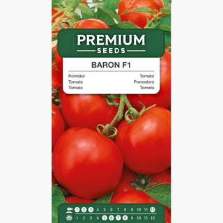 Pomodoro Baron F1 - Resistenza affidabile, raccolto precoce, abbondanti raccolti