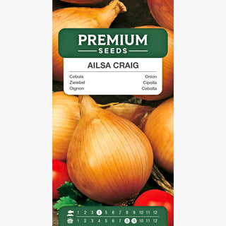 Cipolla Ailsa Craig - Cipolle enormi fino a 1 kg, sapore eccezionale, facile da curare - Allium cepa