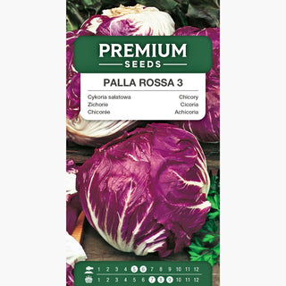 Cicoria Palla Rossa 3 - Ideale per insalate! - freschezza e croccantezza nel piatto! - Cichorium intybus var. foliosum