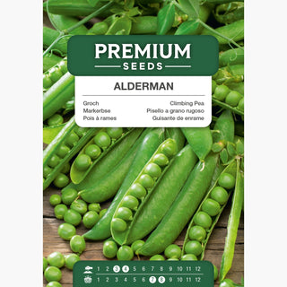 Pisello a grano rugoso Alderman - Semi grandi e gustosi, perfetti per l'essiccazione - Pisum sativum