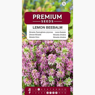 Monarda citriodora - Decorazione per aiuole e angoli di erbe aromatiche - Monarda citriodora