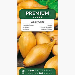 Cipolla Scalogno Zebrune - Sapore sottile e delicato, perfetto per insalate e salse - Allium cepa var. aggregatum