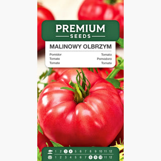 Pomodoro Raspberry Giant - Rese impressionanti, sapore eccezionale - il re dei pomodori! - Semi Premium