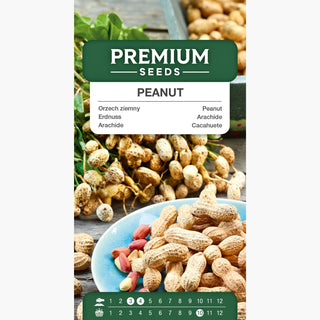 Arachide - Fioritura bellissima con abbondante raccolto di arachidi! - Arachis hypogaea