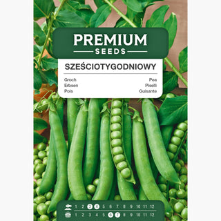 Piselli Sei Settimane - Raccolto rapido, ideale per il consumo fresco - Pisum sativum